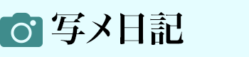 写メ日記